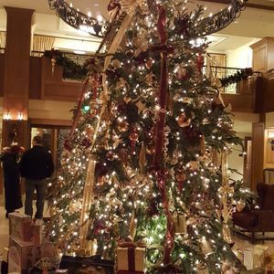 Meet your Posher, Carol